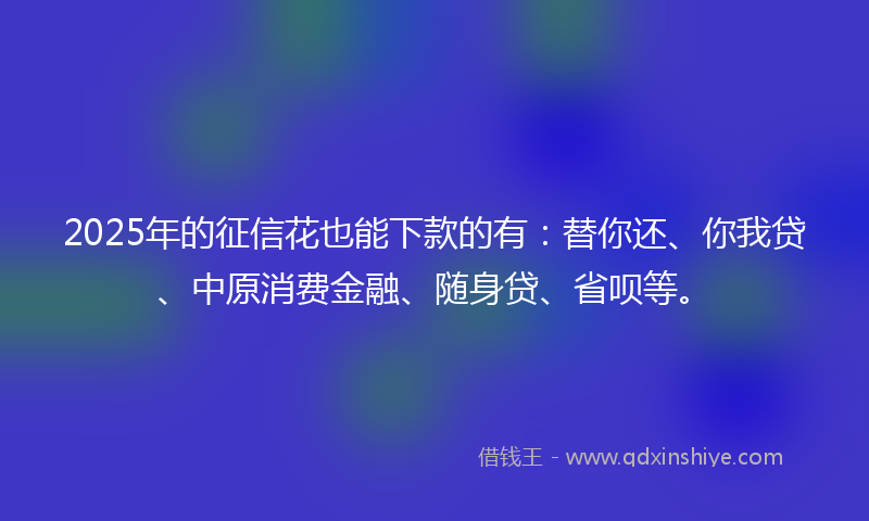 2025年的征信花也能下款的有：替你还、你我贷、中原消费金融、随身贷、省呗等。