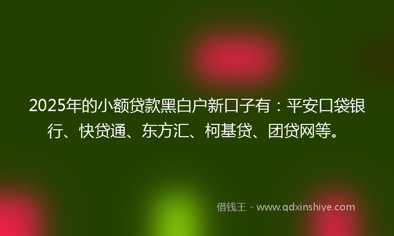 2025年的小额贷款黑白户新口子有：平安口袋银行、快贷通、东方汇、柯基贷、团贷网等。