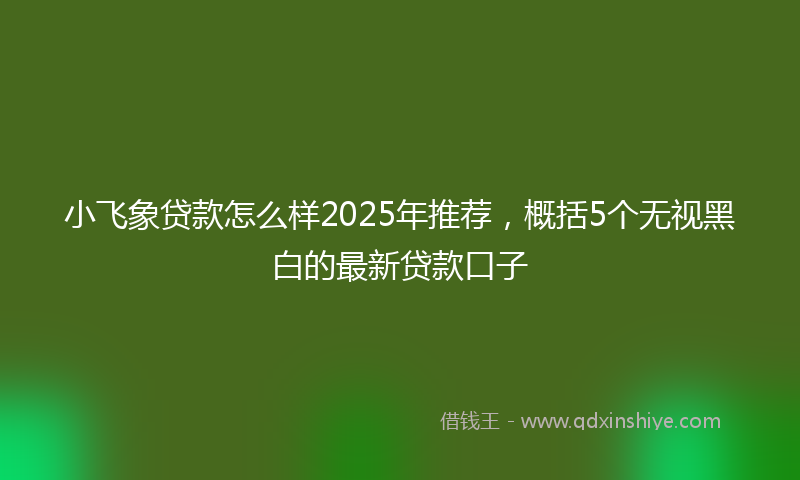 小飞象贷款怎么样2025年推荐，概括5个无视黑白的最新贷款口子