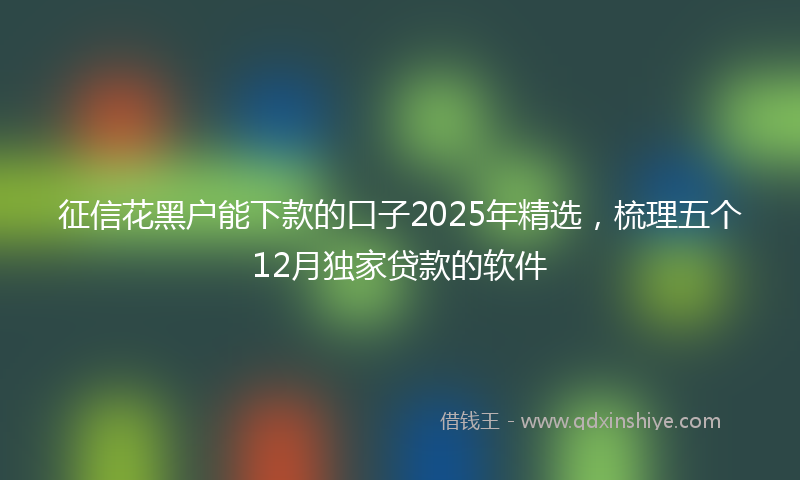 征信花黑户能下款的口子2025年精选，梳理五个12月独家贷款的软件