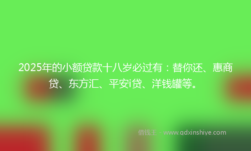 2025年的小额贷款十八岁必过有：替你还、惠商贷、东方汇、平安i贷、洋钱罐等。