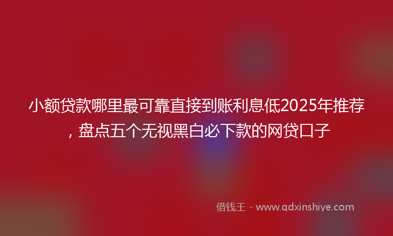 小额贷款哪里最可靠直接到账利息低2025年推荐，盘点五个无视黑白必下款的网贷口子