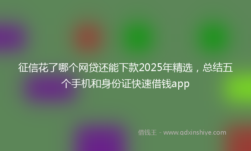 征信花了哪个网贷还能下款2025年精选，总结五个手机和身份证快速借钱app