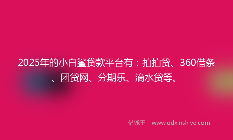 2025年的小白鲨贷款平台有：拍拍贷、360借条、团贷网、分期乐、滴水贷等。
