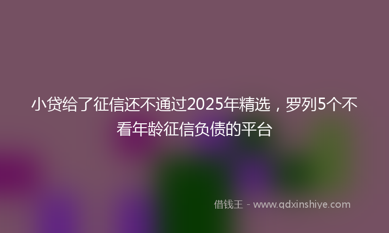 小贷给了征信还不通过2025年精选，罗列5个不看年龄征信负债的平台