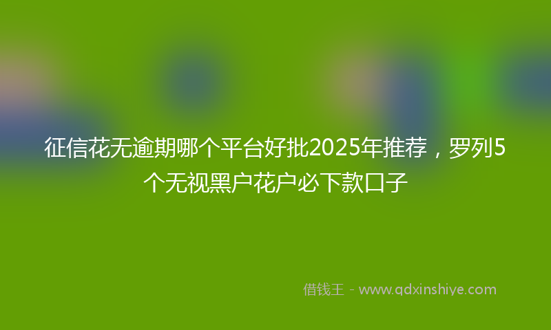 征信花无逾期哪个平台好批2025年推荐，罗列5个无视黑户花户必下款口子