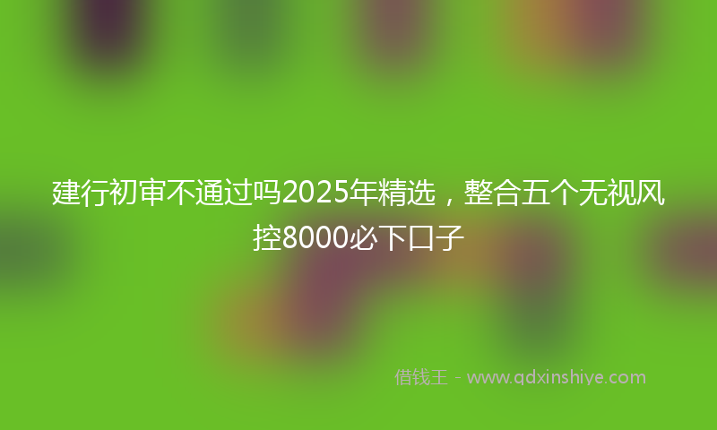 建行初审不通过吗2025年精选，整合五个无视风控8000必下口子