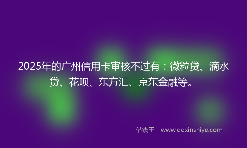 2025年的广州信用卡审核不过有：微粒贷、滴水贷、花呗、东方汇、京东金融等。