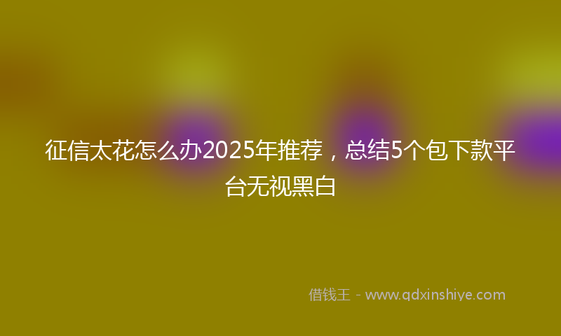 征信太花怎么办2025年推荐，总结5个包下款平台无视黑白