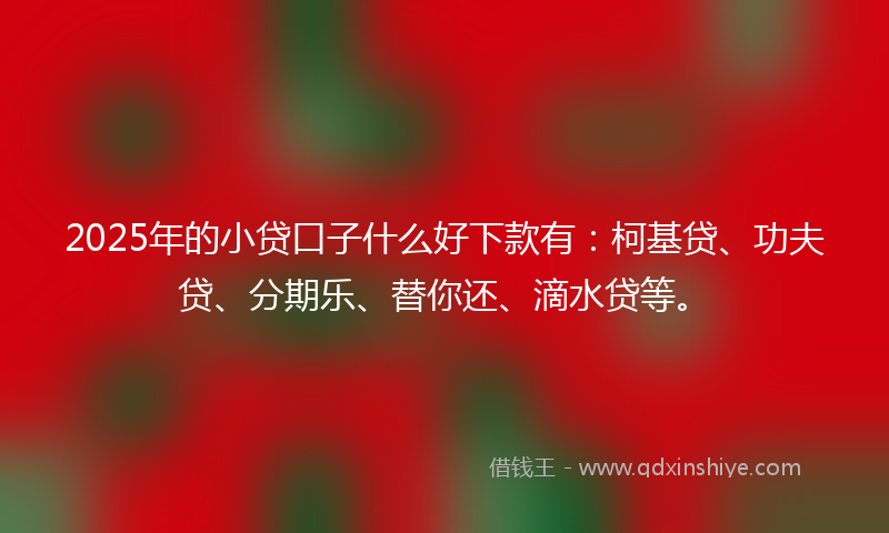 2025年的小贷口子什么好下款有：柯基贷、功夫贷、分期乐、替你还、滴水贷等。