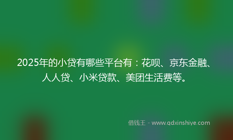 2025年的小贷有哪些平台有：花呗、京东金融、人人贷、小米贷款、美团生活费等。