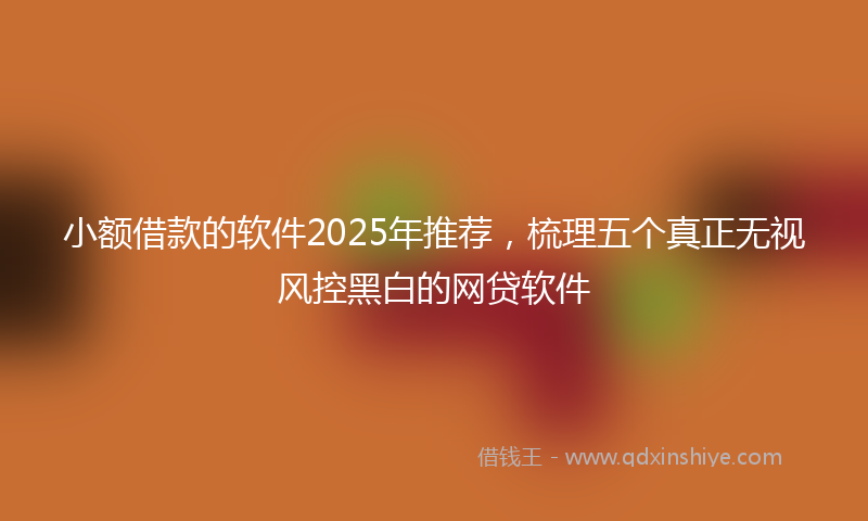小额借款的软件2025年推荐，梳理五个真正无视风控黑白的网贷软件