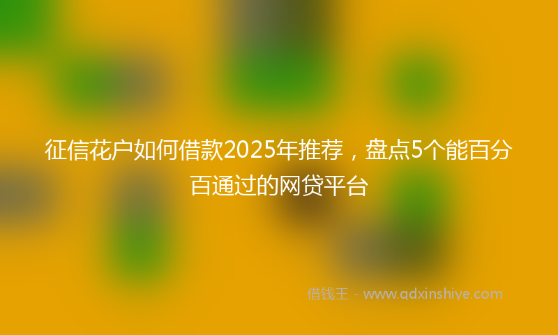 征信花户如何借款2025年推荐，盘点5个能百分百通过的网贷平台