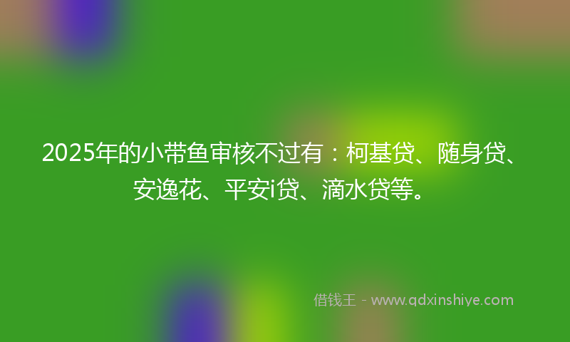 2025年的小带鱼审核不过有：柯基贷、随身贷、安逸花、平安i贷、滴水贷等。