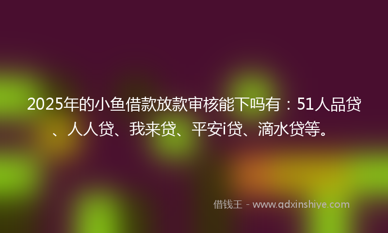 2025年的小鱼借款放款审核能下吗有：51人品贷、人人贷、我来贷、平安i贷、滴水贷等。