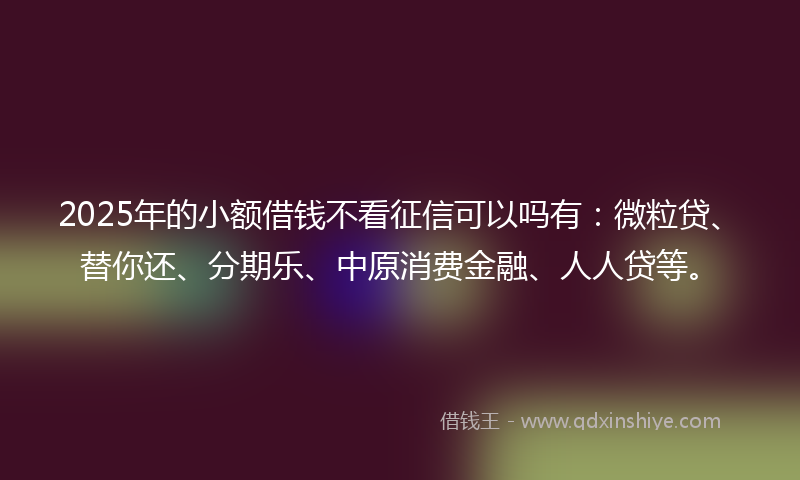 2025年的小额借钱不看征信可以吗有：微粒贷、替你还、分期乐、中原消费金融、人人贷等。