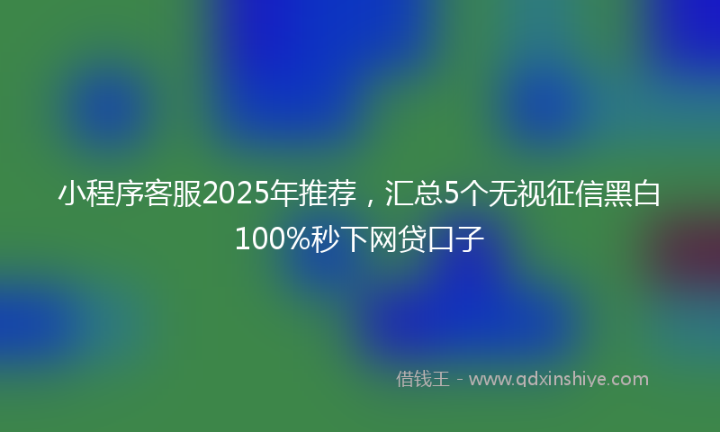 小程序客服2025年推荐，汇总5个无视征信黑白100%秒下网贷口子