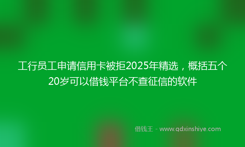 工行员工申请信用卡被拒2025年精选，概括五个20岁可以借钱平台不查征信的软件