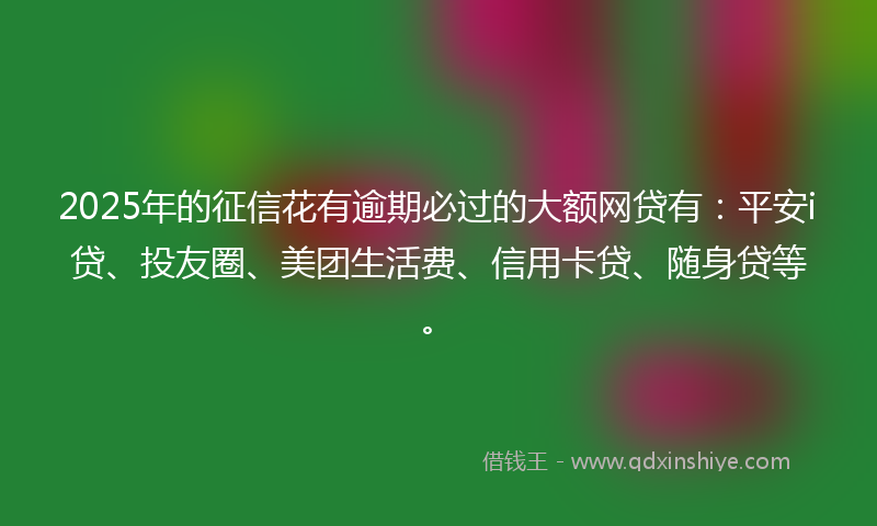 2025年的征信花有逾期必过的大额网贷有：平安i贷、投友圈、美团生活费、信用卡贷、随身贷等。