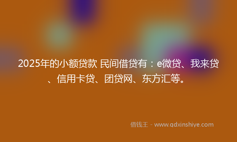 2025年的小额贷款 民间借贷有：e微贷、我来贷、信用卡贷、团贷网、东方汇等。