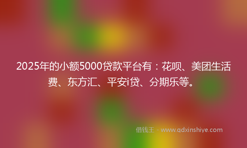 2025年的小额5000贷款平台有：花呗、美团生活费、东方汇、平安i贷、分期乐等。