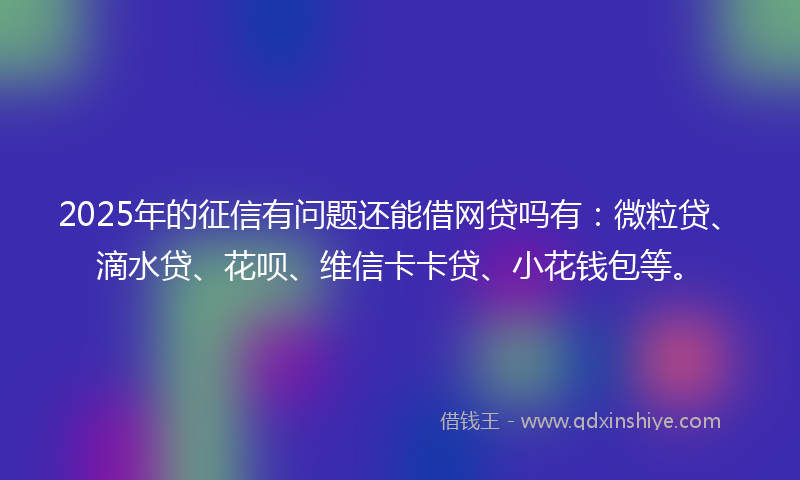 2025年的征信有问题还能借网贷吗有：微粒贷、滴水贷、花呗、维信卡卡贷、小花钱包等。