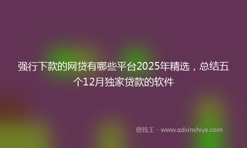 强行下款的网贷有哪些平台2025年精选，总结五个12月独家贷款的软件