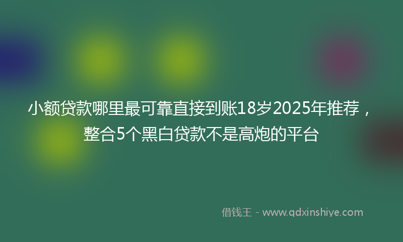小额贷款哪里最可靠直接到账18岁2025年推荐，整合5个黑白贷款不是高炮的平台