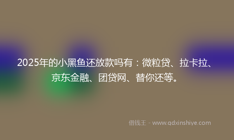 2025年的小黑鱼还放款吗有：微粒贷、拉卡拉、京东金融、团贷网、替你还等。