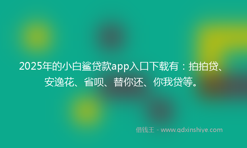 2025年的小白鲨贷款app入口下载有：拍拍贷、安逸花、省呗、替你还、你我贷等。
