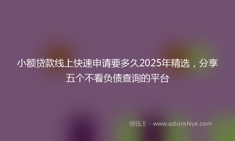小额贷款线上快速申请要多久2025年精选，分享五个不看负债查询的平台