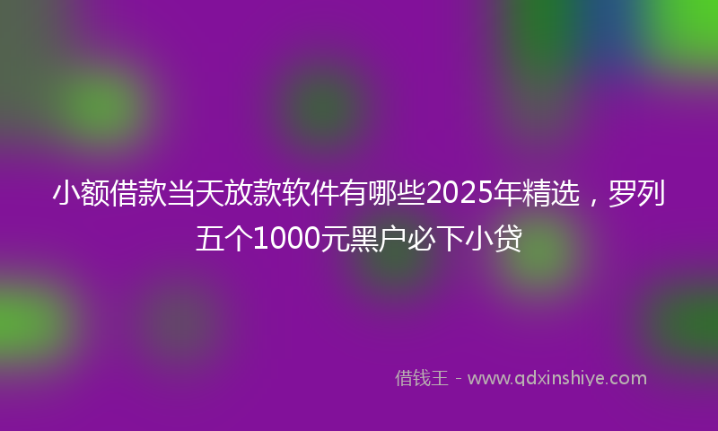 小额借款当天放款软件有哪些2025年精选，罗列五个1000元黑户必下小贷