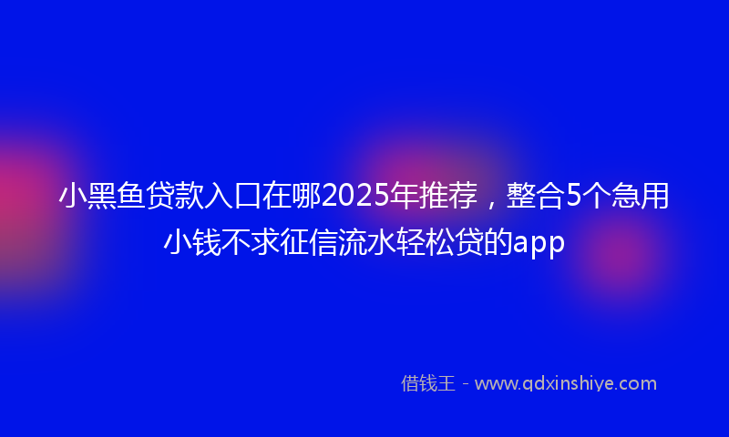 小黑鱼贷款入口在哪2025年推荐，整合5个急用小钱不求征信流水轻松贷的app