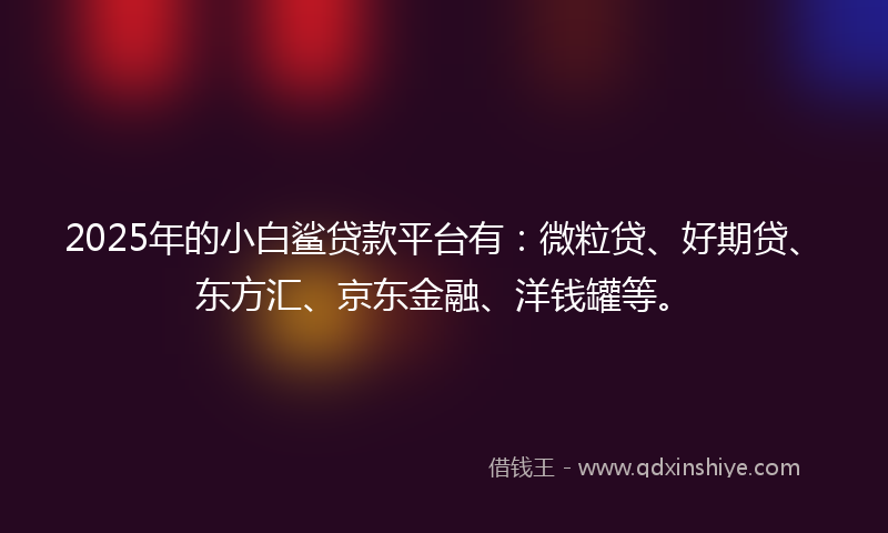 2025年的小白鲨贷款平台有：微粒贷、好期贷、东方汇、京东金融、洋钱罐等。