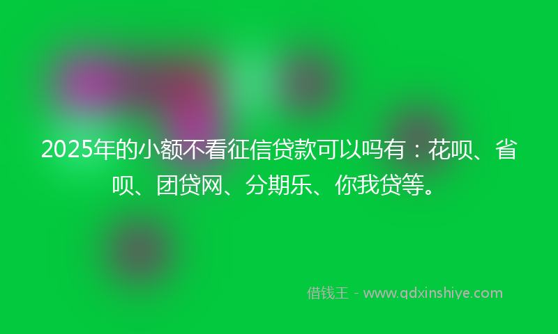 2025年的小额不看征信贷款可以吗有：花呗、省呗、团贷网、分期乐、你我贷等。
