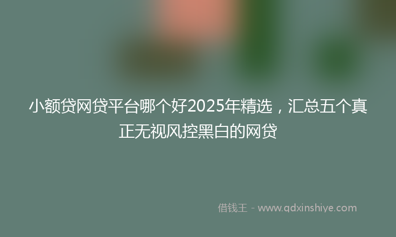 小额贷网贷平台哪个好2025年精选，汇总五个真正无视风控黑白的网贷