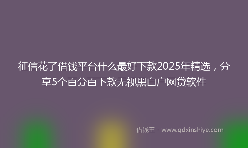 征信花了借钱平台什么最好下款2025年精选，分享5个百分百下款无视黑白户网贷软件