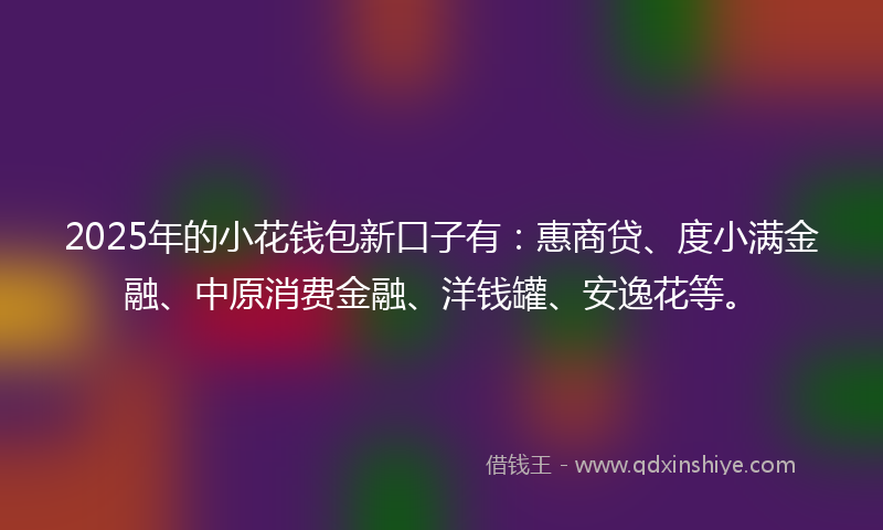 2025年的小花钱包新口子有：惠商贷、度小满金融、中原消费金融、洋钱罐、安逸花等。