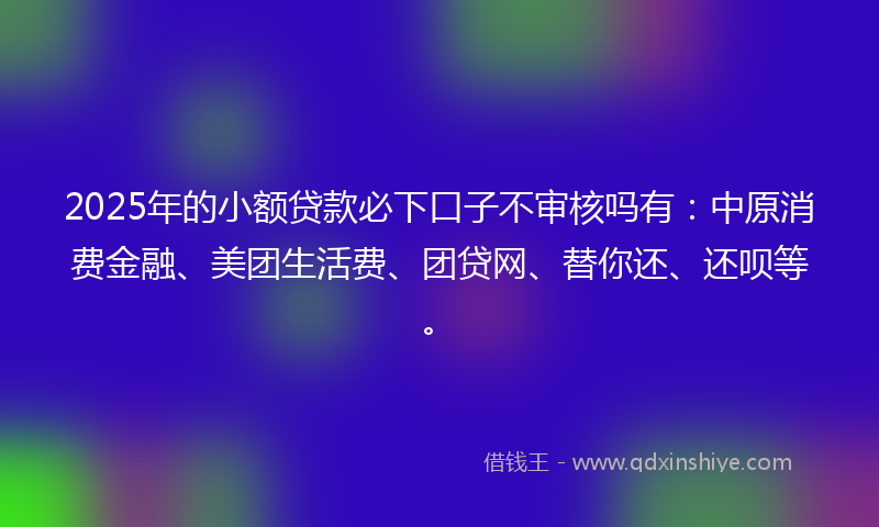 2025年的小额贷款必下口子不审核吗有：中原消费金融、美团生活费、团贷网、替你还、还呗等。
