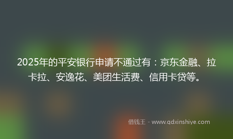 2025年的平安银行申请不通过有：京东金融、拉卡拉、安逸花、美团生活费、信用卡贷等。