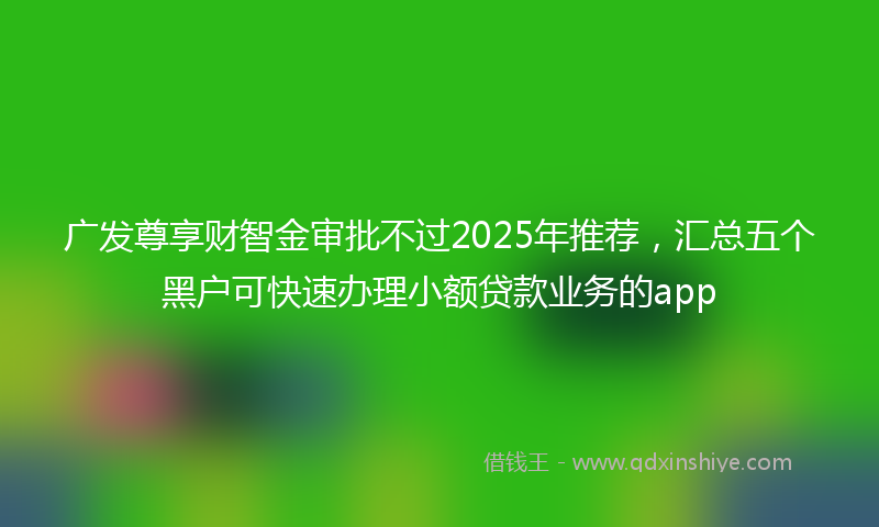 广发尊享财智金审批不过2025年推荐，汇总五个黑户可快速办理小额贷款业务的app