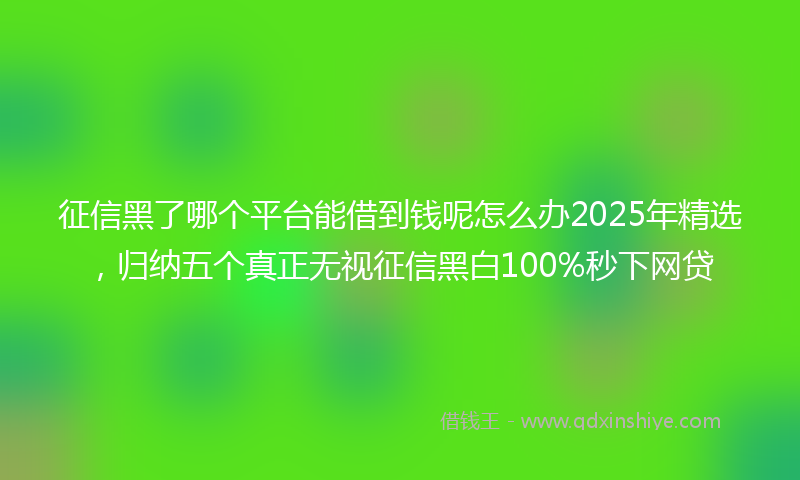 征信黑了哪个平台能借到钱呢怎么办2025年精选，归纳五个真正无视征信黑白100%秒下网贷