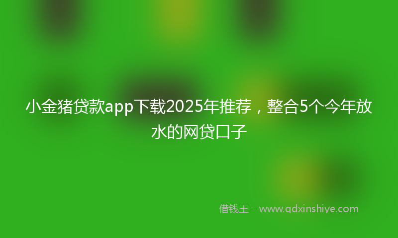 小金猪贷款app下载2025年推荐，整合5个今年放水的网贷口子