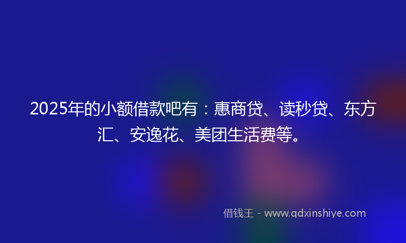 2025年的小额借款吧有：惠商贷、读秒贷、东方汇、安逸花、美团生活费等。