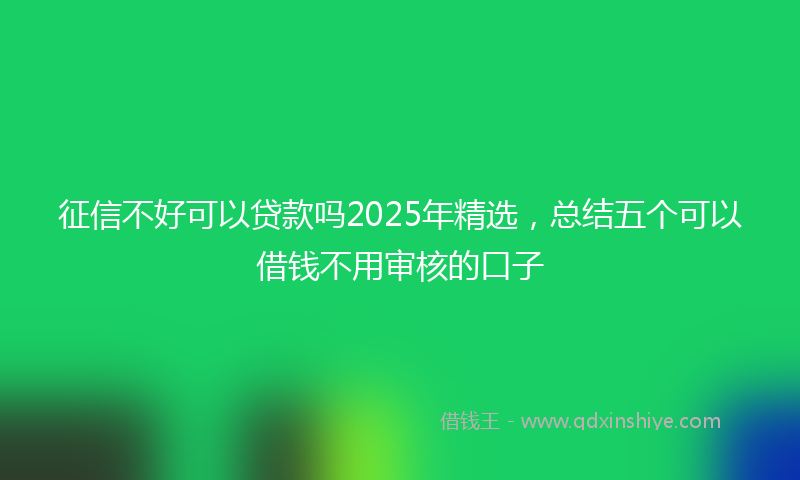 征信不好可以贷款吗2025年精选，总结五个可以借钱不用审核的口子