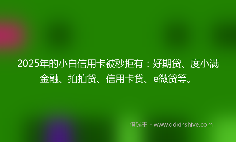 2025年的小白信用卡被秒拒有：好期贷、度小满金融、拍拍贷、信用卡贷、e微贷等。