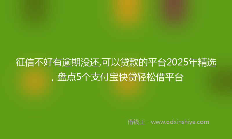 征信不好有逾期没还,可以贷款的平台2025年精选，盘点5个支付宝快贷轻松借平台