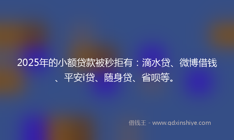 2025年的小额贷款被秒拒有：滴水贷、微博借钱、平安i贷、随身贷、省呗等。