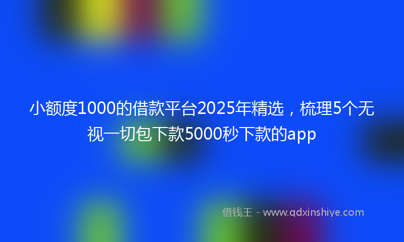 小额度1000的借款平台2025年精选，梳理5个无视一切包下款5000秒下款的app