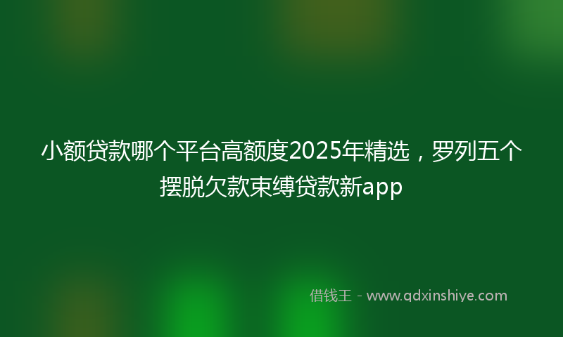小额贷款哪个平台高额度2025年精选，罗列五个摆脱欠款束缚贷款新app